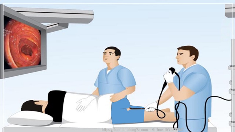 CÔNG TY TNHH BẢO HỘ LAO ĐỘNG A&A